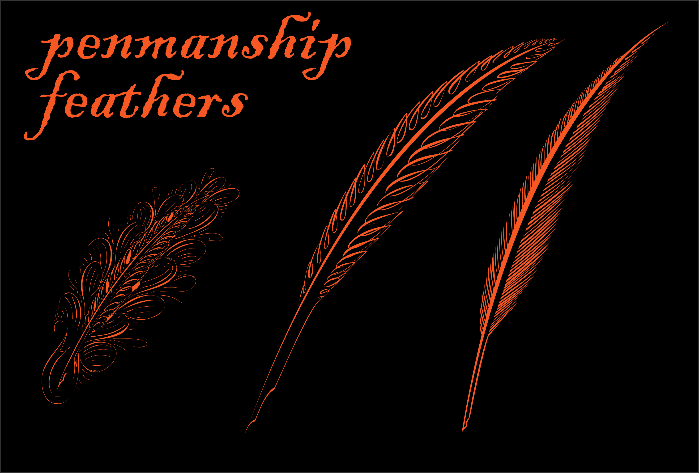 Penmanship Feathers